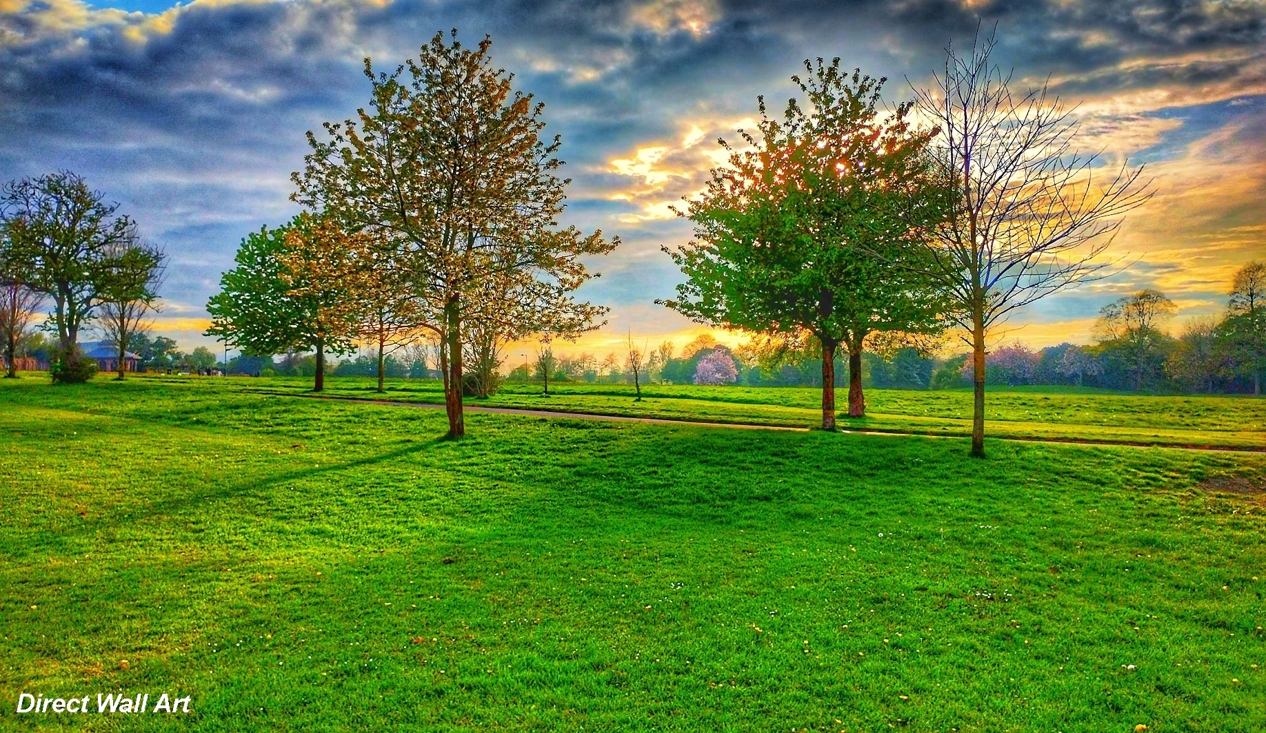 park wall art
